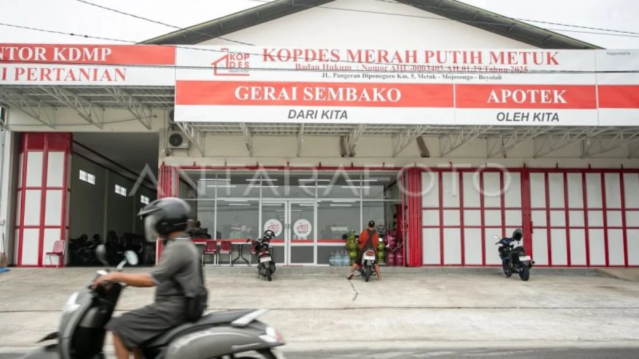 Manajer Kopdes Merah Putih: 639 Ribu Pelamar, 483 Ribu Lolos Administrasi