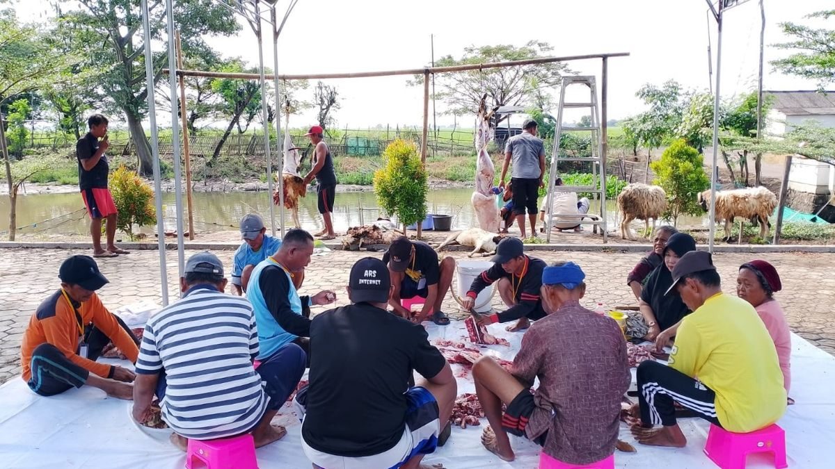 Masjid Miftahul Huda: Kurban 14 Kambing Idul Adha Blok Pelabuhan