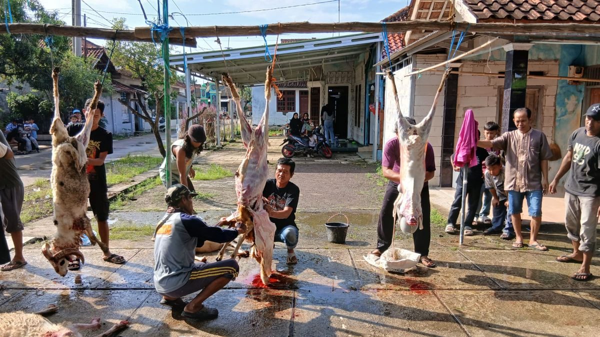 Momen Pembagian Daging Kurban: Kebahagiaan Warga