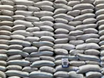 Pasokan Beras Nasional Capai 5 Juta Ton, Apakah Aman?