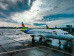 Pelita Air: Peluang Bisnis Wisatawan untuk Pelaku Usaha