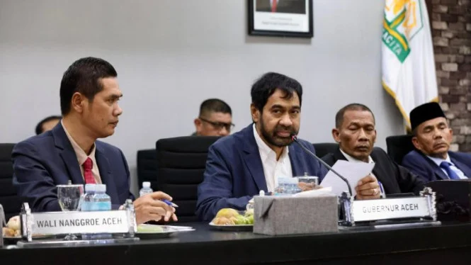 Pemulihan Pascabencana Aceh Baru Mencapai 30%, Infrastruktur dan Jembatan Masih Tertinggal