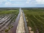 Pentignya Food Estate Papua Selatan untuk Kedaulatan Pangan Jangka Panjang