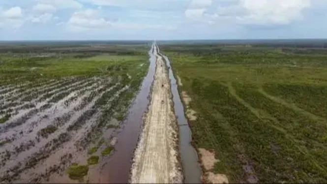 Pentignya Food Estate Papua Selatan untuk Kedaulatan Pangan Jangka Panjang