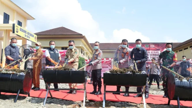 Penyitaan 200 Kg Ganja dari Ladang 20 Hektare oleh Polda Sumsel
