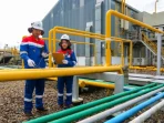 PGN Raup Laba US$215,36 Juta di 2025, Tebar Dividen Rp 3,04 T