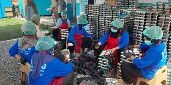Program MBG BGN Serap 1,28 Juta Pekerja