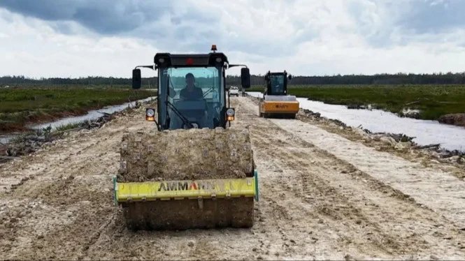 Proyek Pangan Wanam: Tonggak Strategis Ketahanan Pangan Jangka Panjang