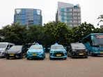 Strategi Digital Bluebird Berhasil