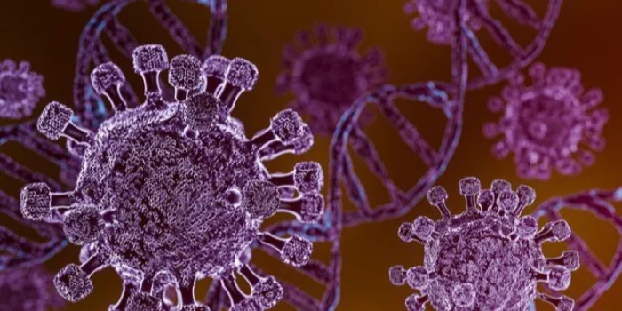 Swiss Konfirmasi Kasus Hantavirus dari Kapal Pesiar
