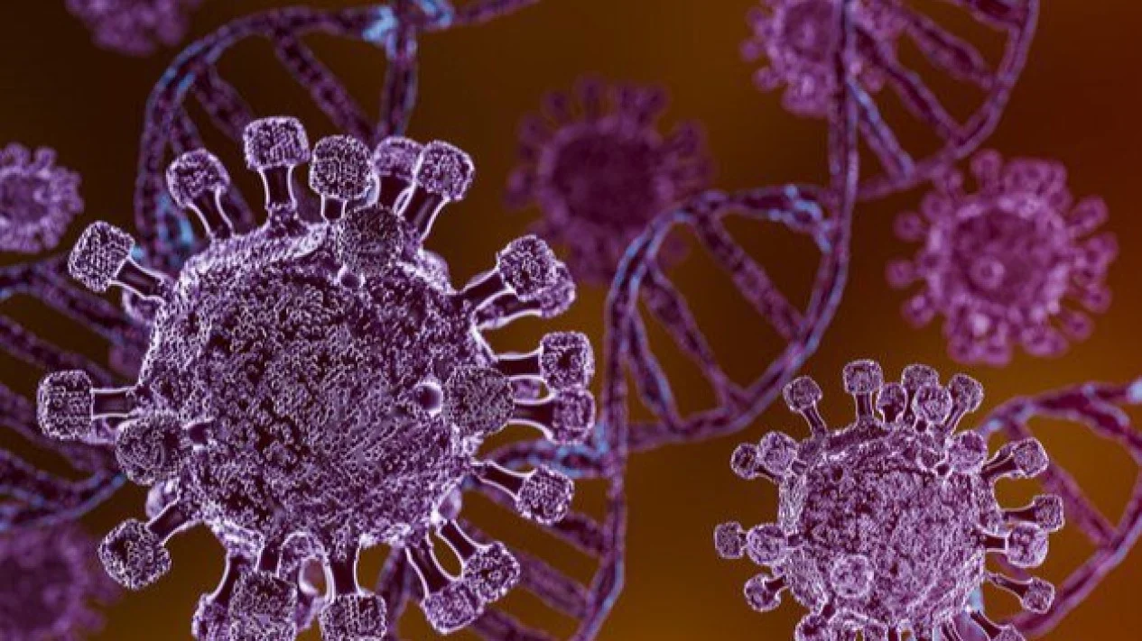 Swiss Konfirmasi Kasus Hantavirus dari Kapal Pesiar