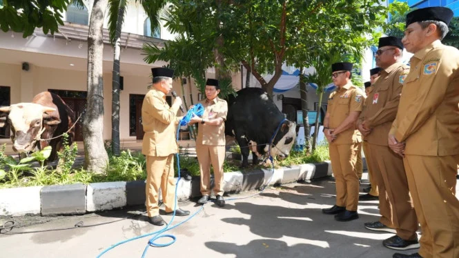 Tegaskan Kepedulian Sosial, Mendagri Distribusikan Hewan Kurban dari Kemendagri dan BNPP