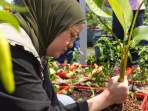The Body Shop Gandeng Petani Milenial untuk Program Keanekaragaman Hayati Perkotaan di Bandung