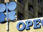 UEA Berkomitmen Jaga Stabilitas Pasar Energi Pasca-OPEC
