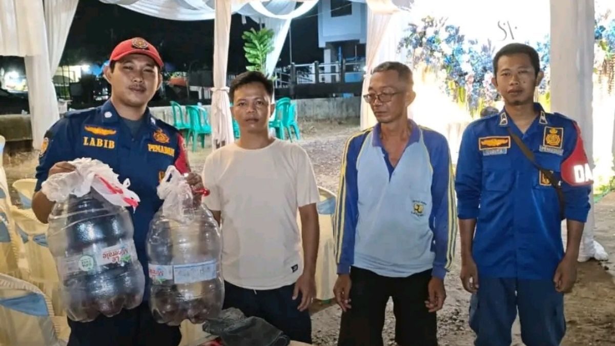 Ular Kobra di Dapur Hajatan Pernikahan Lohbener: Warga Panik Tengah Malam