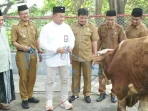 UMKM Lokal: SIG Salurkan 292 Hewan Kurban di 19 Provinsi