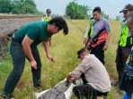 Wanita Cirebon Tewas Tertemper KA Manahan di Indramayu Dini Hari