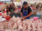 warga-jakarta-diminta-tidak-panik-beli-jelang-idul-adha-91641 Warga Jakarta Diminta Tidak Panik Beli Jelang Idul Adha