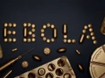 WHO Nyatakan Wabah Ebola di Kongo dan Uganda sebagai Darurat Global