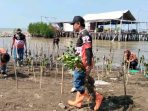 1.000 Mangrove Indramayu: MPC Pemuda Pancasila Hijaukan Pantai Sambut Hari Pancasila