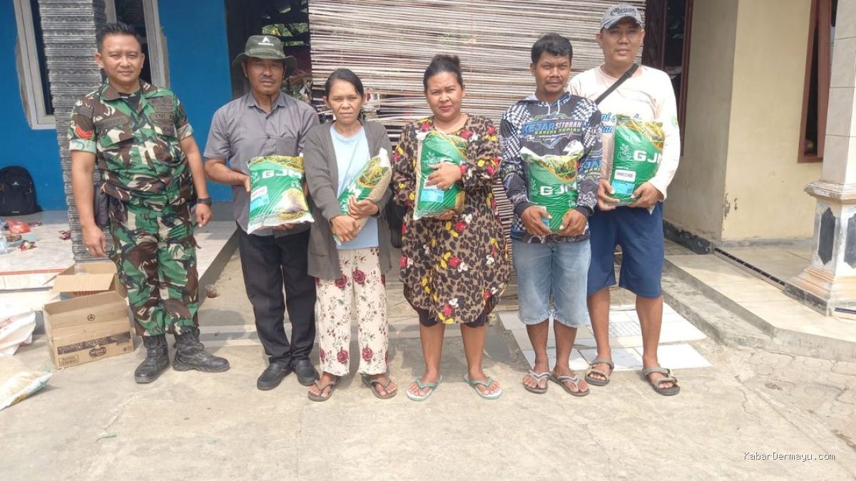 Babinsa Koptu Lukman Kawal Benih Inpari 32 HDB Gempur Pangan