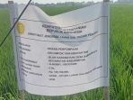 Bantuan Irigasi Pompa Kementan untuk 170 Kelompok Tani Indramayu Dongkrak Index Pertanaman