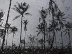 bmkg-tsunami-terdeteksi-di-indonesia-pasca-gempa-laut-sulawesi-69363 BMKG: Tsunami Terdeteksi di Indonesia Pasca Gempa Laut Sulawesi