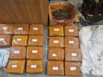 BNN Berhasil Gagalkan Penyelundupan Hashish, 2 WN Rusia Diamankan