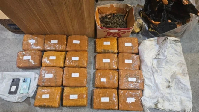 BNN Berhasil Gagalkan Penyelundupan Hashish, 2 WN Rusia Diamankan