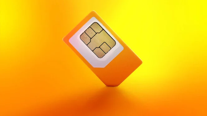 DPR Setujui Registrasi SIM dengan Biometrik Wajah, Cegah Penipuan Digital
