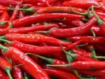 Harga Cabai Rawit Hari Ini: Tembus Rp73.700/Kg, Telur Rp29.700