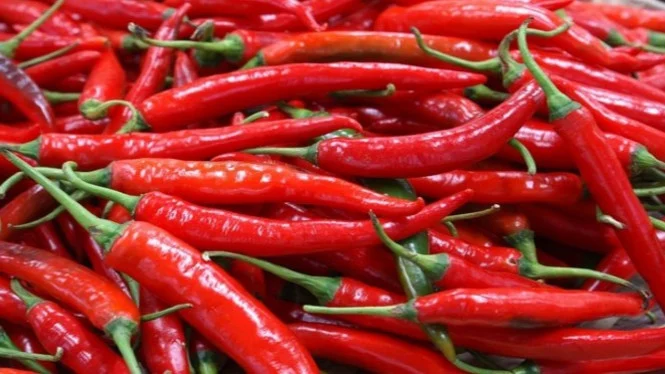 Harga Cabai Rawit Hari Ini: Tembus Rp73.700/Kg, Telur Rp29.700