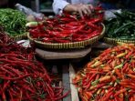 Harga Cabai Rawit Hijau Rp50 Ribu/Kg, Cek Harga Sembako Tulungagung Indramayu