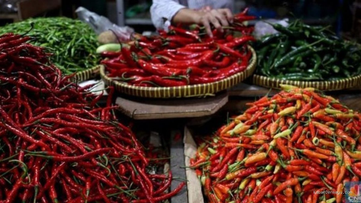 Harga Cabai Rawit Hijau Rp50 Ribu/Kg, Cek Harga Sembako Tulungagung Indramayu