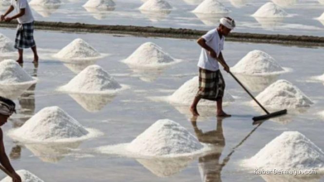 Indef: Tata Kelola Impor Garam Kunci Swasembada 2027