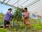 Indonesia Sustainability Award: ESG & Pemberdayaan Berkelanjutan PNM