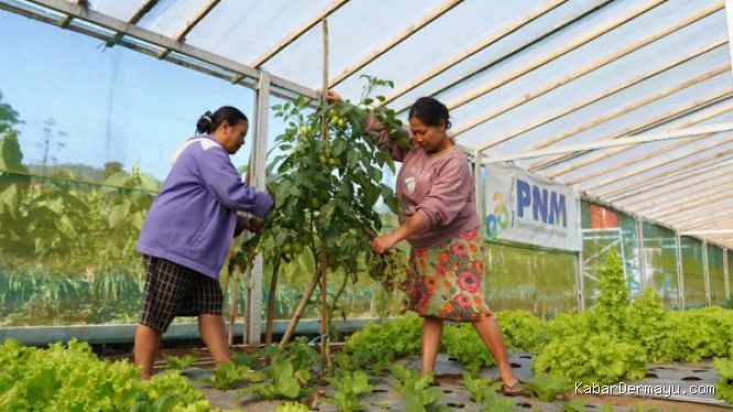 Indonesia Sustainability Award: ESG & Pemberdayaan Berkelanjutan PNM