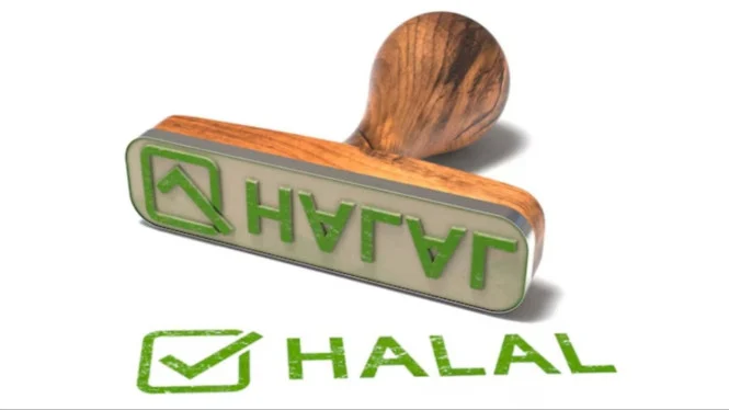 Industri Halal: 27% PDB Nasional, Rp4.900 Triliun Nilai