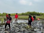 Kader PDIP Indramayu Tanam Mangrove di Kandanghaur, Peduli Lingkungan