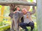 kapolda-riau-beri-nama-nona-seroja-untuk-anak-gajah-tesso-nilo-punya-makna-khusu-28879 Kapolda Riau Beri Nama 'Nona Seroja' untuk Anak Gajah Tesso Nilo, Punya Makna Khusus