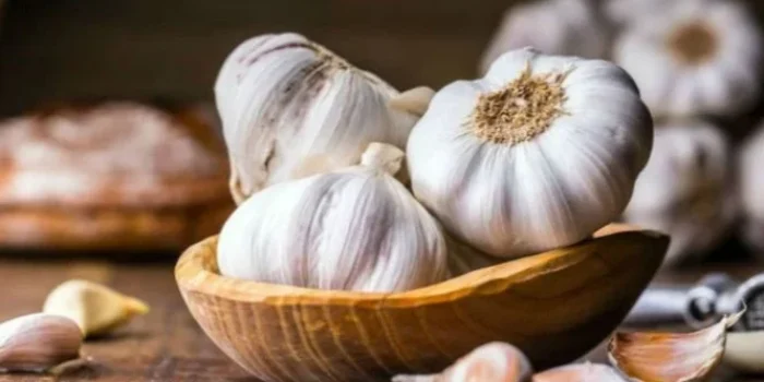 Pengaduan Penyitaan Ratusan Bal Bawang Putih di Bali ke Komisi III DPR