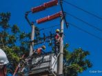 PLN: Gangguan Listrik Tanah Papua Turun 12%, Ini Durasi Baru