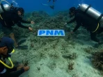 PNM Lestarikan Laut untuk Masa Depan Generasi Muda