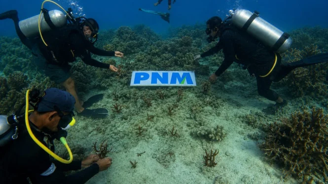 PNM Lestarikan Laut untuk Masa Depan Generasi Muda
