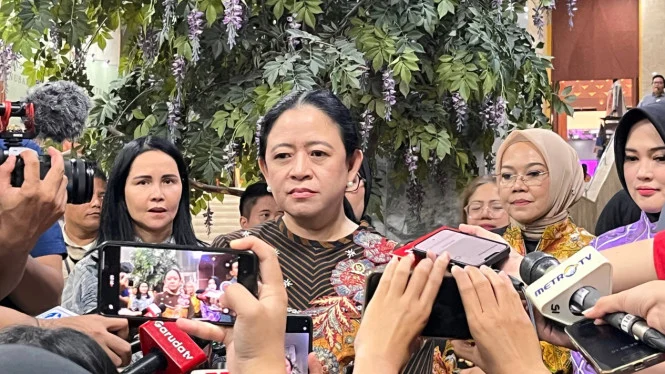Puan Minta Pemerintah Siapkan Mitigasi Karhutla