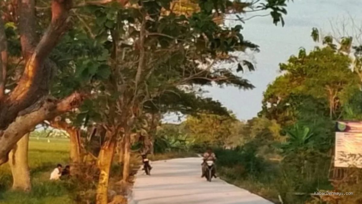 Realisasi Program Rekontruksi Pembangunan Infrastruktur Jalan Penghubung Setra Ekonomi Wilayah Krangkeng