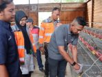 SIG Dorong Ekonomi Aceh: Olah Sampah Kelapa Jadi Pakan Ternak