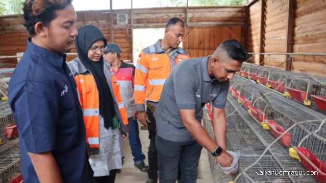 SIG Dorong Ekonomi Aceh: Olah Sampah Kelapa Jadi Pakan Ternak