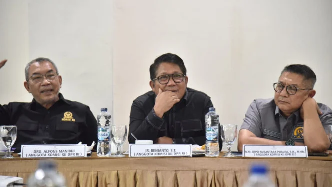 Tata Kelola SDA Percepat Investasi & Ekonomi: Kata Anggota DPR