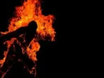tiga-santri-dibakar-teman-di-lombok-tengah-satu-tewas-61607 Tiga Santri Dibakar Teman di Lombok Tengah, Satu Tewas